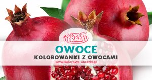 Kolorowanki owoce - www.kolorowe-obrazki.pl