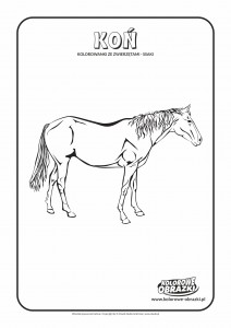 Kolorowanki dla dzieci - Zwierzęta / Koń, Kolorowanka z koniem