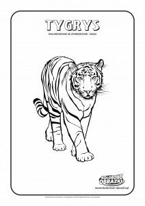 Kolorowanki dla dzieci - Zwierzęta / Tygrys Kolorowanka z tygrysem, Kolorowanka z tygrysem